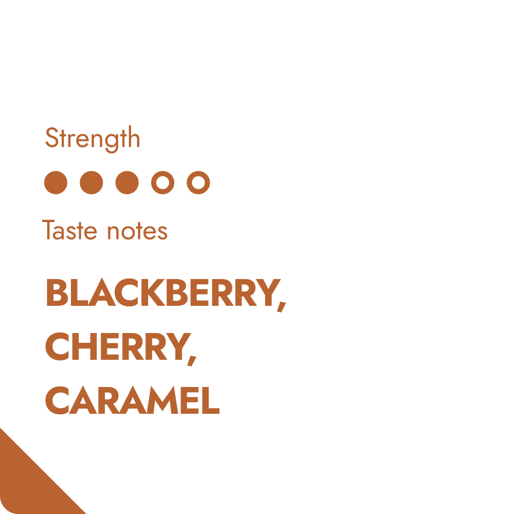 KENYA SPECIALTY COFFEE BEANS-1